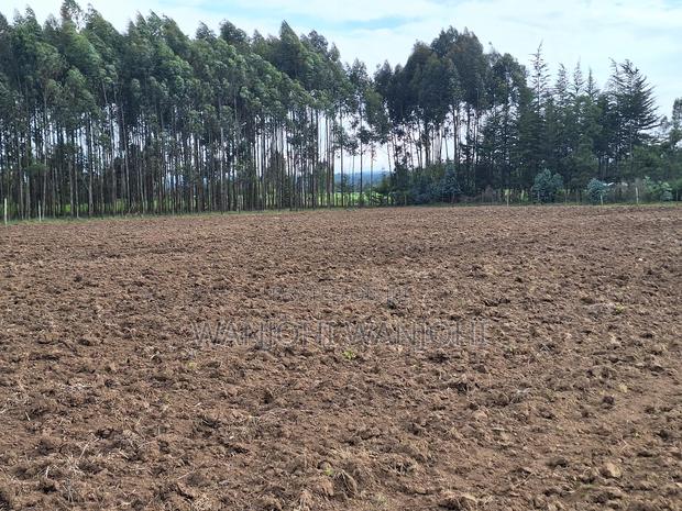 0.5 Acre Plots in Gatimu