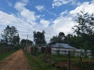 0.5 Acre Plots in Gatimu