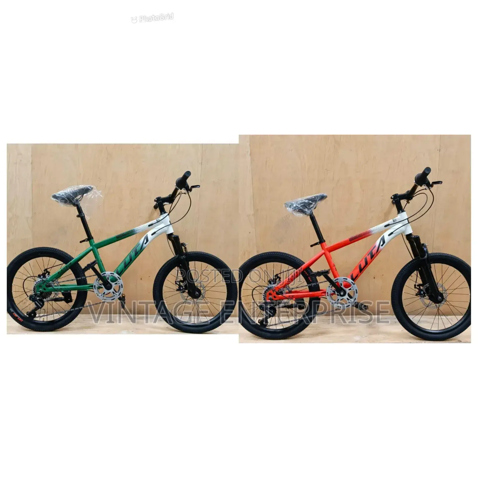 Mountain Bike Size 20'
