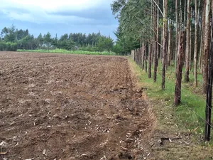 Half Acre Plots in Nyahururu