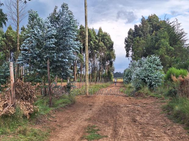 Half Acre Plots in Nyahururu - thumbnail 4