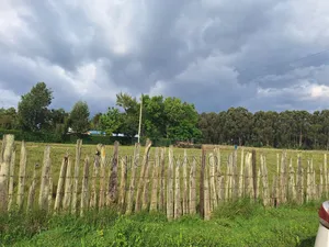 Half Acre Plots in Nyahururu