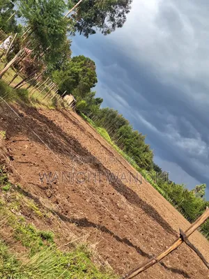 1/4 Acre Plots in Nyahururu