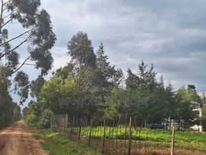 1/4 Acre Plots in Nyahururu