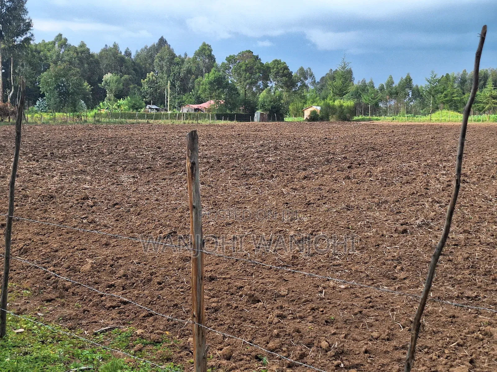 1/4 Acre Plots in Nyahururu