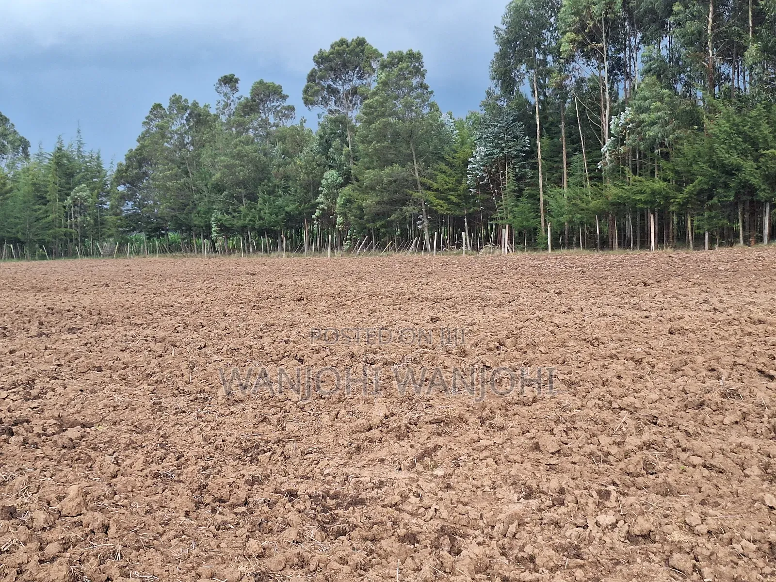 1/4 Acre Plots in Nyahururu