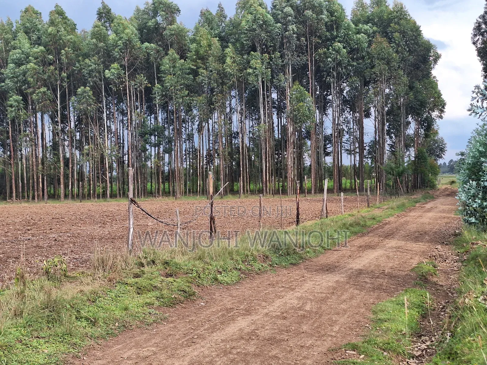1/4 Acre Plots in Nyahururu