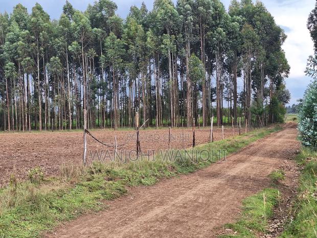 1/4 Acre Plots in Nyahururu - thumbnail 9