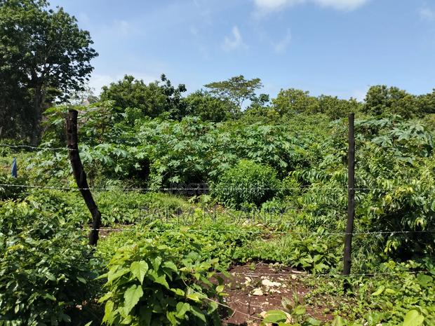 Diani Fourth Row Beach Plot - thumbnail 7