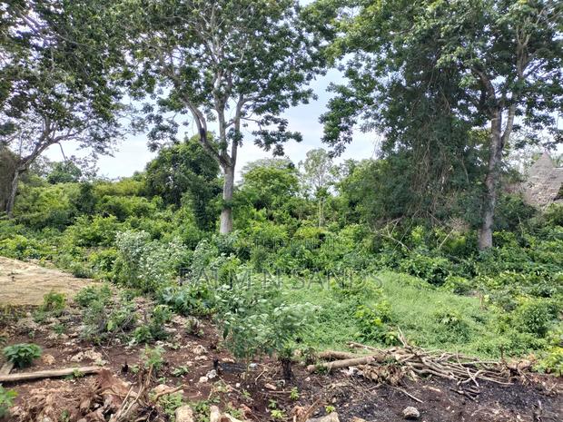 Diani Fourth Row Beach Plot - thumbnail 8