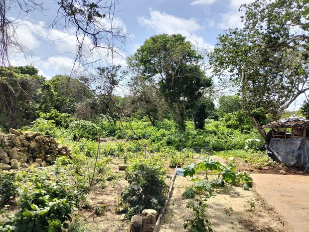 Diani Fourth Row Beach Plot - thumbnail 6