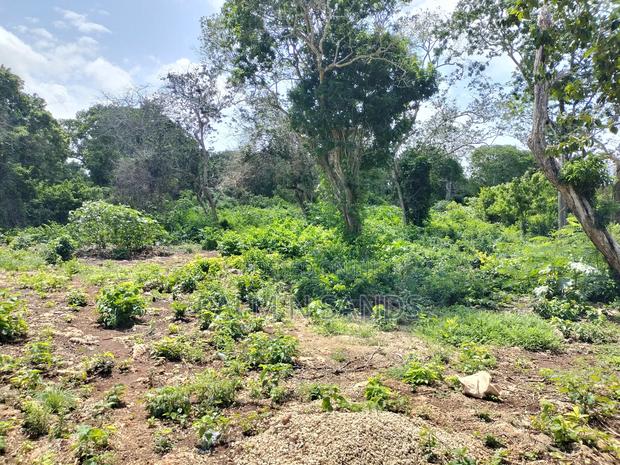 Diani Fourth Row Beach Plot - thumbnail 9