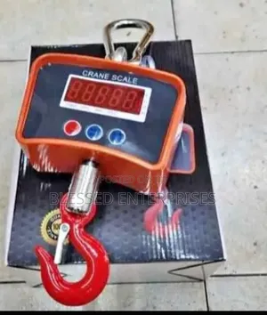 500kg Crane Scale/Crane Scale 500kg