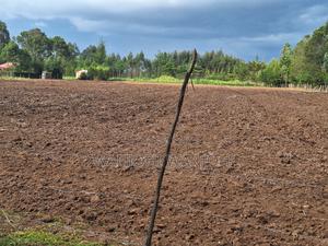 Quarter Acre Plots Nyahururu Township - thumbnail 2