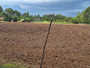 Quarter Acre Plots Nyahururu Township