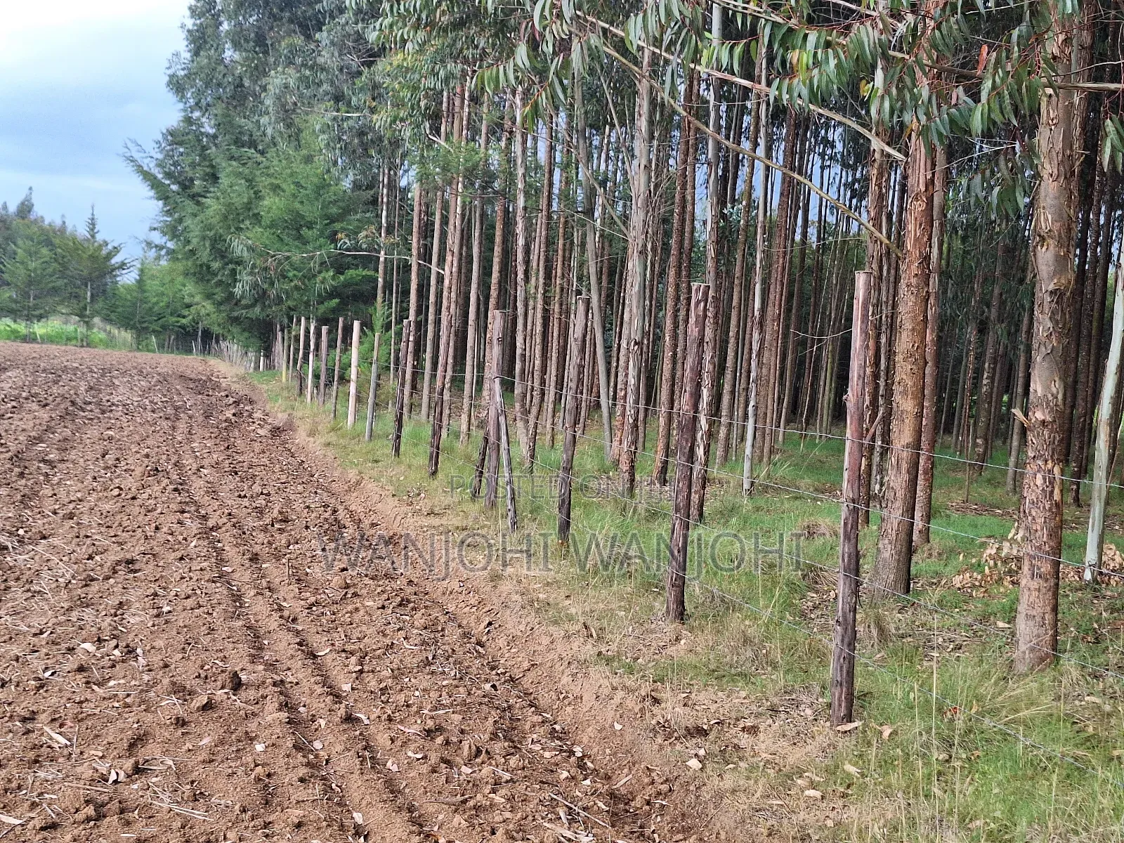 Quarter Acre Plots Nyahururu Township