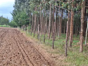 Quarter Acre Plots Nyahururu Township