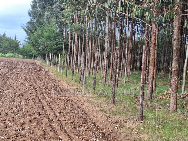 Quarter Acre Plots Nyahururu Township - thumbnail 3