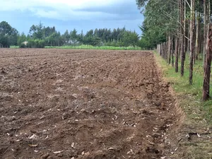 Quarter Acre Plots Nyahururu Township