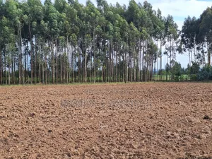 Quarter Acre Plots Nyahururu Township