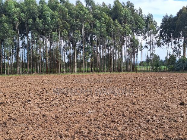 Quarter Acre Plots Nyahururu Township - thumbnail 5