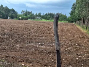 Quarter Acre Plots Nyahururu Township