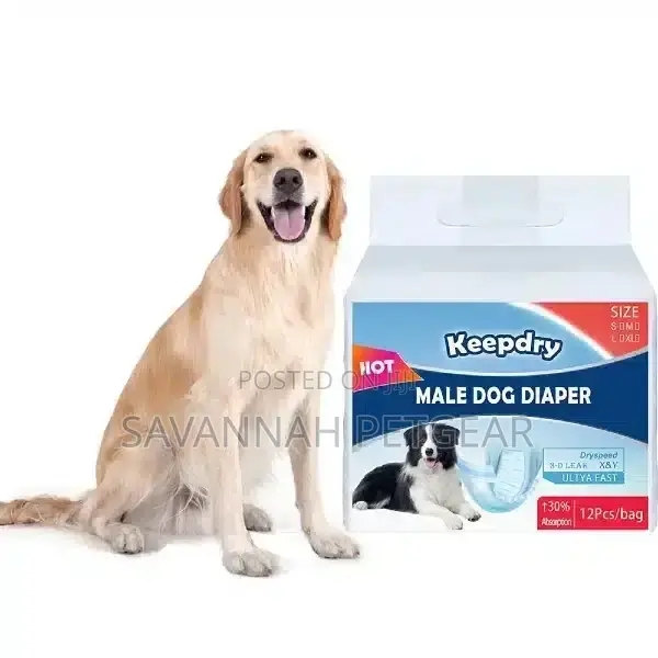 Keep Dry Disposable Male Dog Diapers - S, M, L, Xl