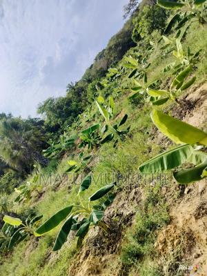 Agricultural Land in Kwale - thumbnail 2