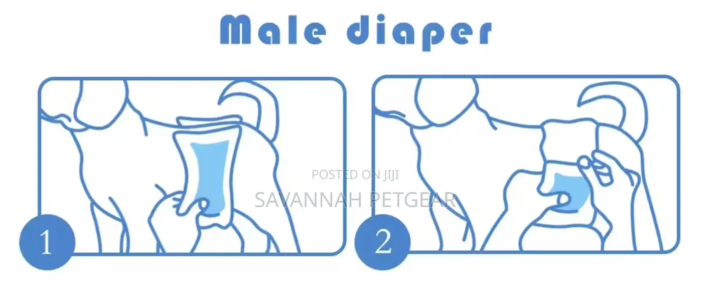 Keep Dry Disposable Male Dog Diapers - S, M, L, Xl