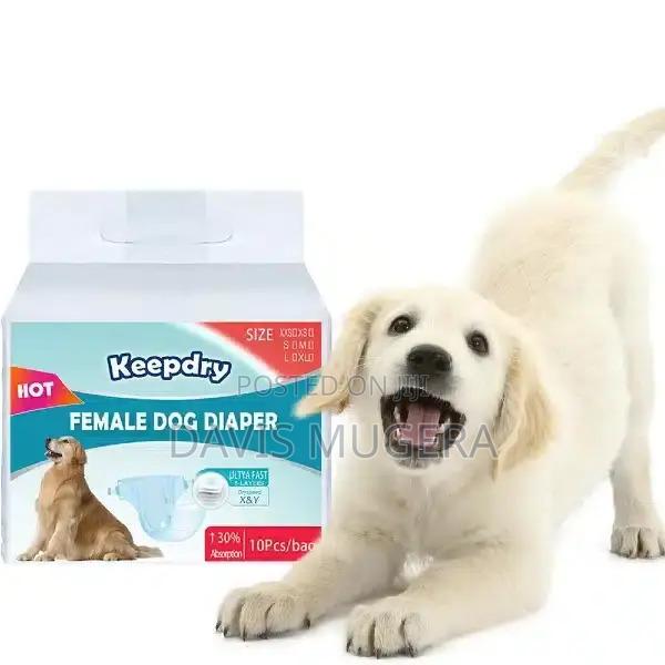 Kpdry Disposable Female Dog Diapers - main view