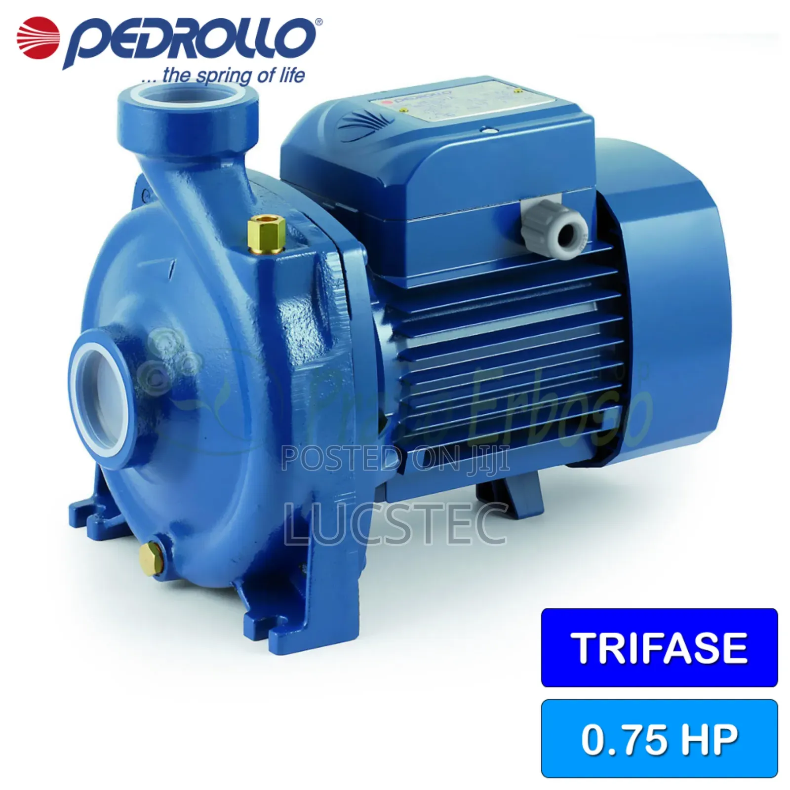 Pedrollo Water Pump