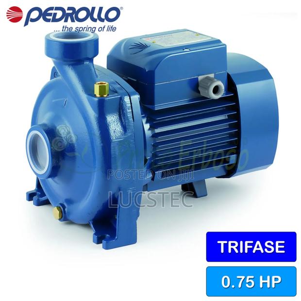 Pedrollo Water Pump
