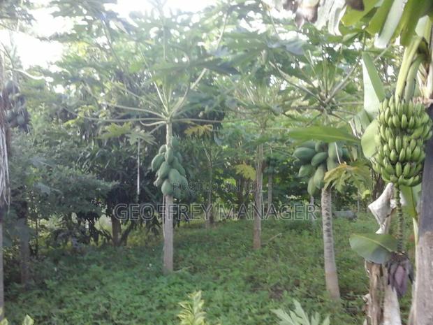 School In Murang’A On 8 Acre, Tarmac Front, Greenhouse, Solar Borehole - thumbnail 2