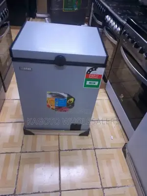 109 Litres Freezer Ecomax