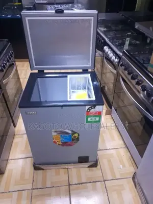 Good Working Ecomax Freezer 109 Litres