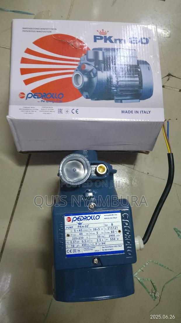 Pedrollo Pump 0.5hp Booster Pump Machine - thumbnail 2