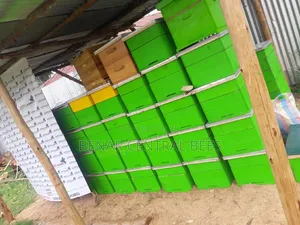 (Cypress Timber) Modern Langstroth Bee Hives Manufacturers