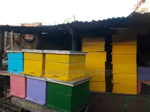 (Cypress Timber) Modern Langstroth Bee Hives Manufacturers