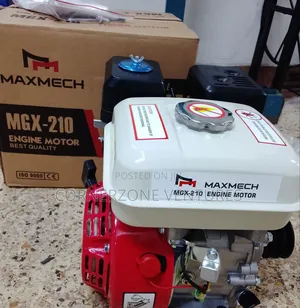 High Quality Petrol Engine / Gasoline Engine