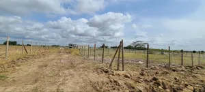 50 by 100 Plots, 4km From the Highway, Selling at 