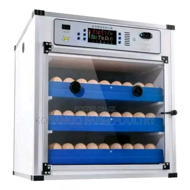 Solar Powered Eggs Incubator - main view