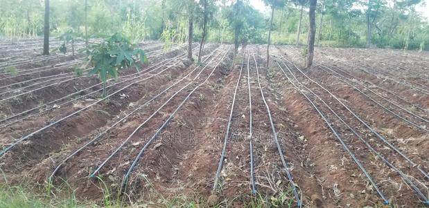 School In Murang’A On 8 Acre, Tarmac Front, Greenhouse, Solar Borehole - thumbnail 16