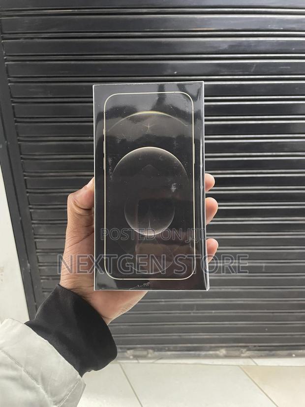 New Apple iPhone 12 Pro Max 256 GB Gold - main view