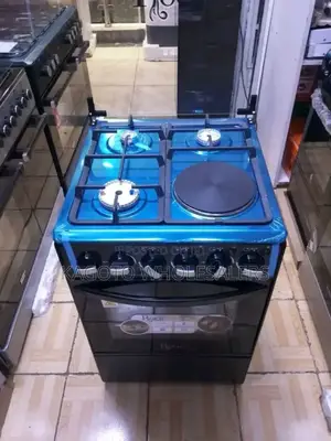 Roch 3+1 Standing Cooker