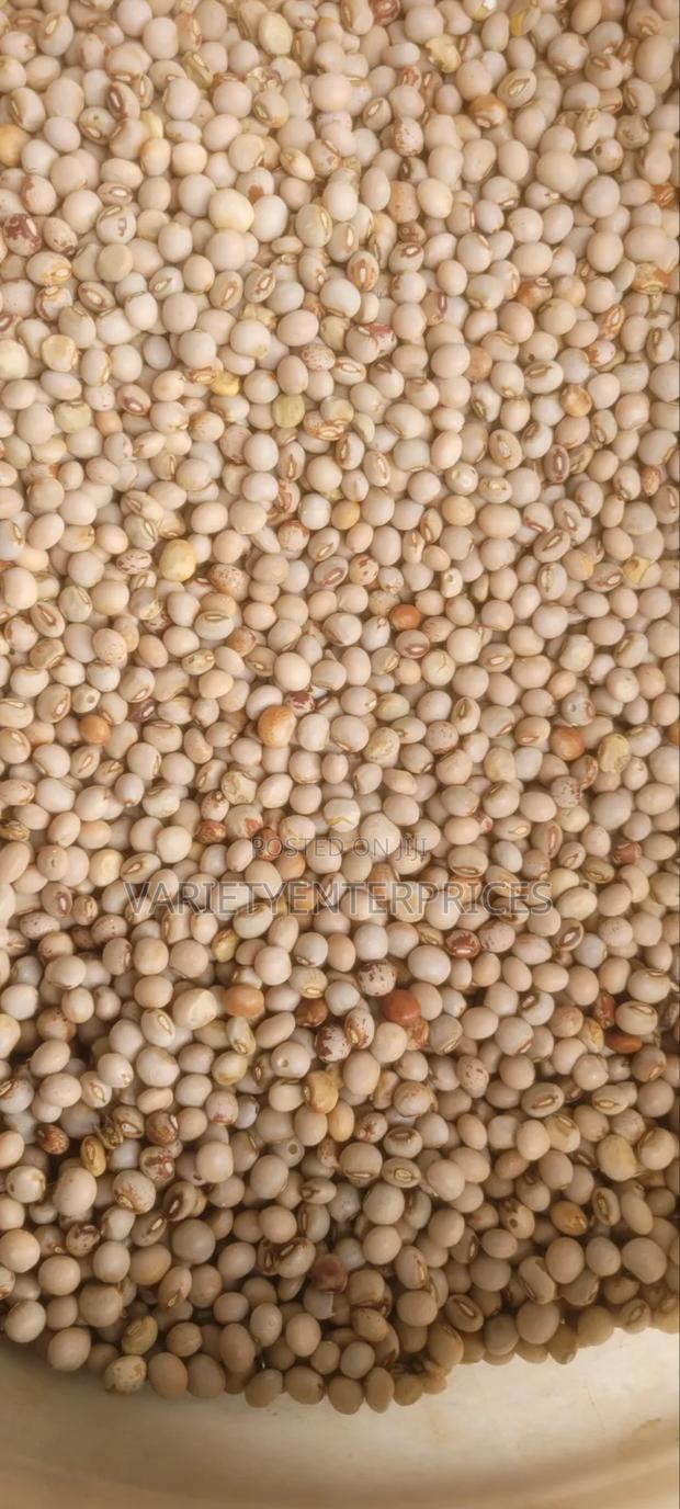 Pigeon Peas / Mbaazi - main view