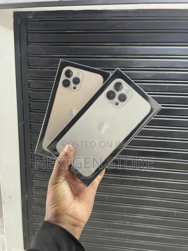 New Apple iPhone 13 Pro Max 256 GB Silver - main view