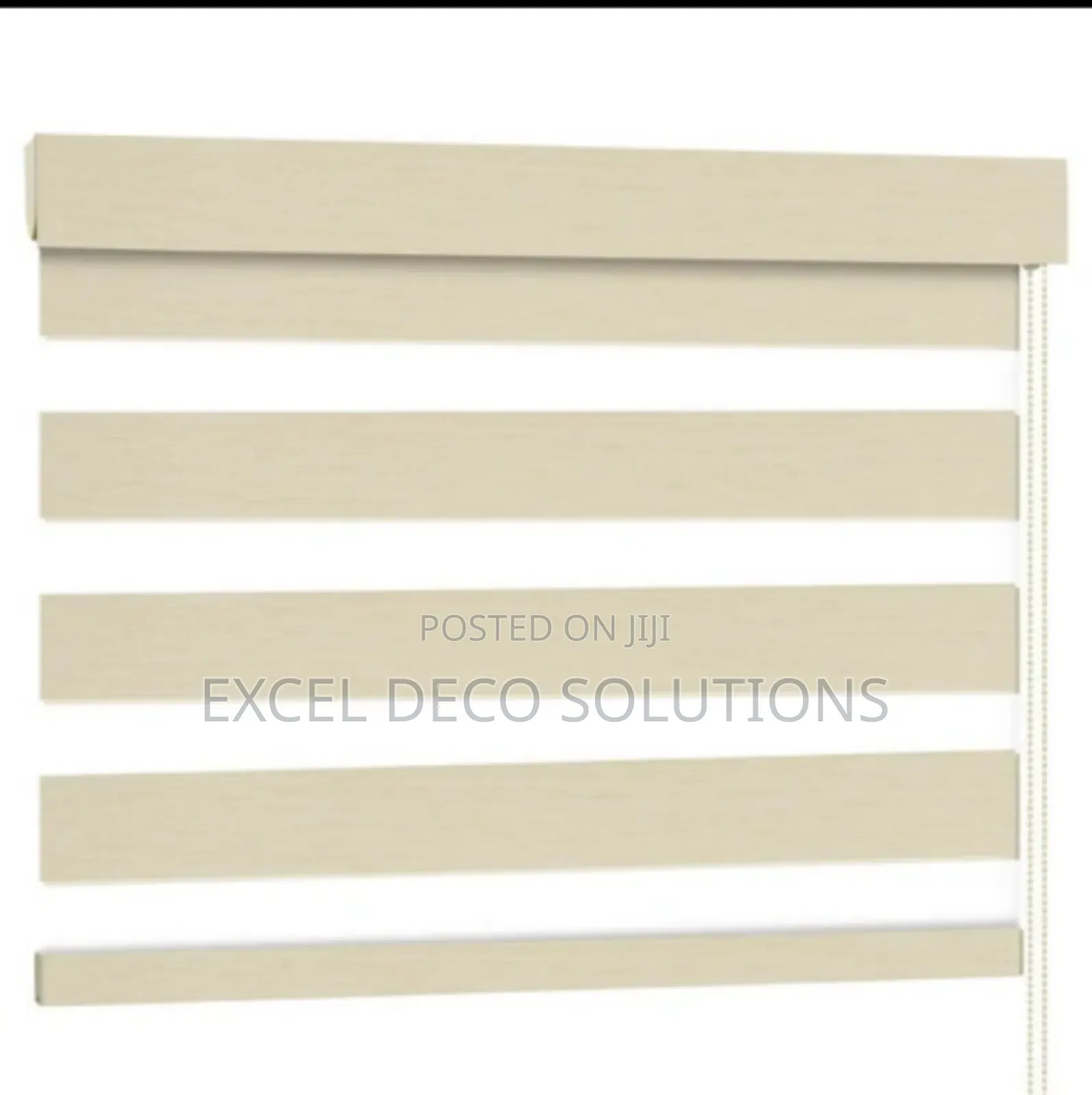 Light Filtering Dual Shade Zebra Blinds