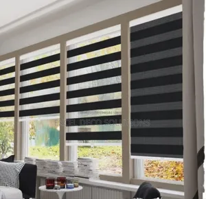 Pastel Zebra Blinds for Calm Interiors