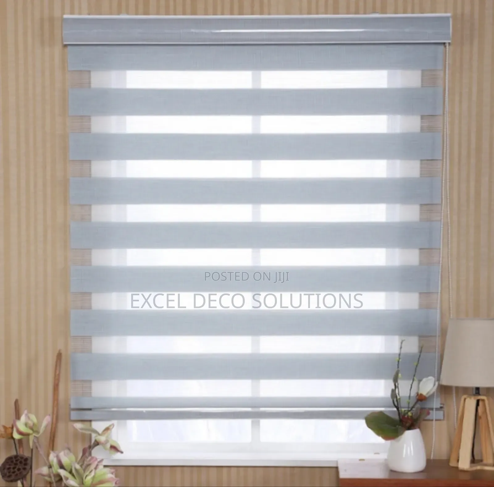 Budget-Friendly Zebra Blinds