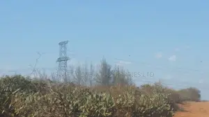52,000 Acres Is Available for Sale in Taru Kwale County